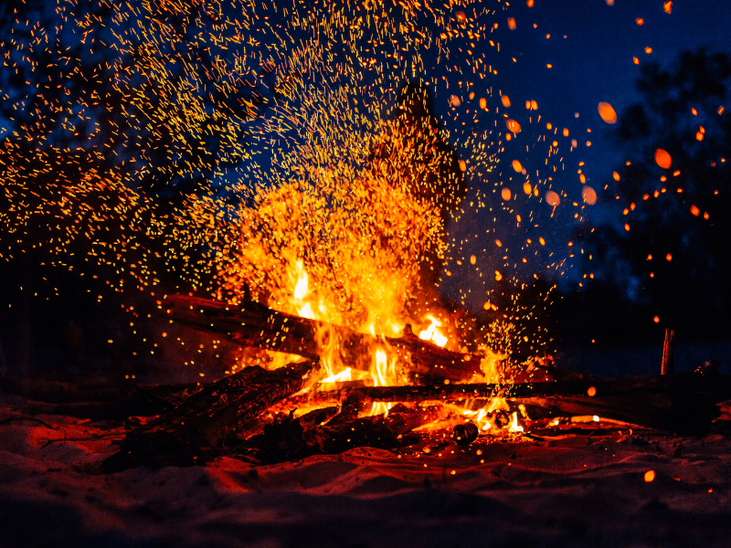 Bonfire and Barbecue